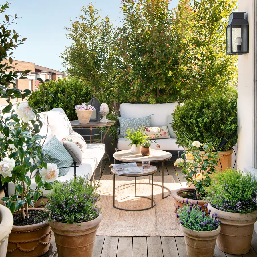 Terraza rústica con sofás de hierro y blancos con macetas con arbustos y plantas aromáticas
